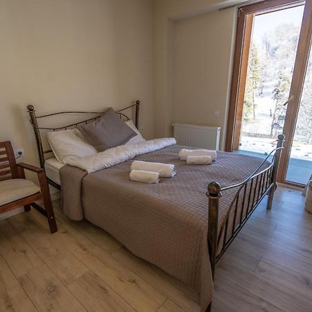 Didveli Valley Bakuriani Εξωτερικό φωτογραφία