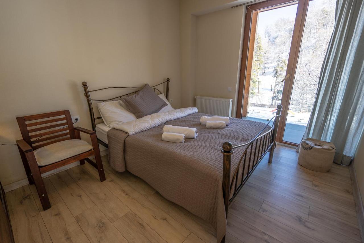 Didveli Valley Bakuriani Εξωτερικό φωτογραφία