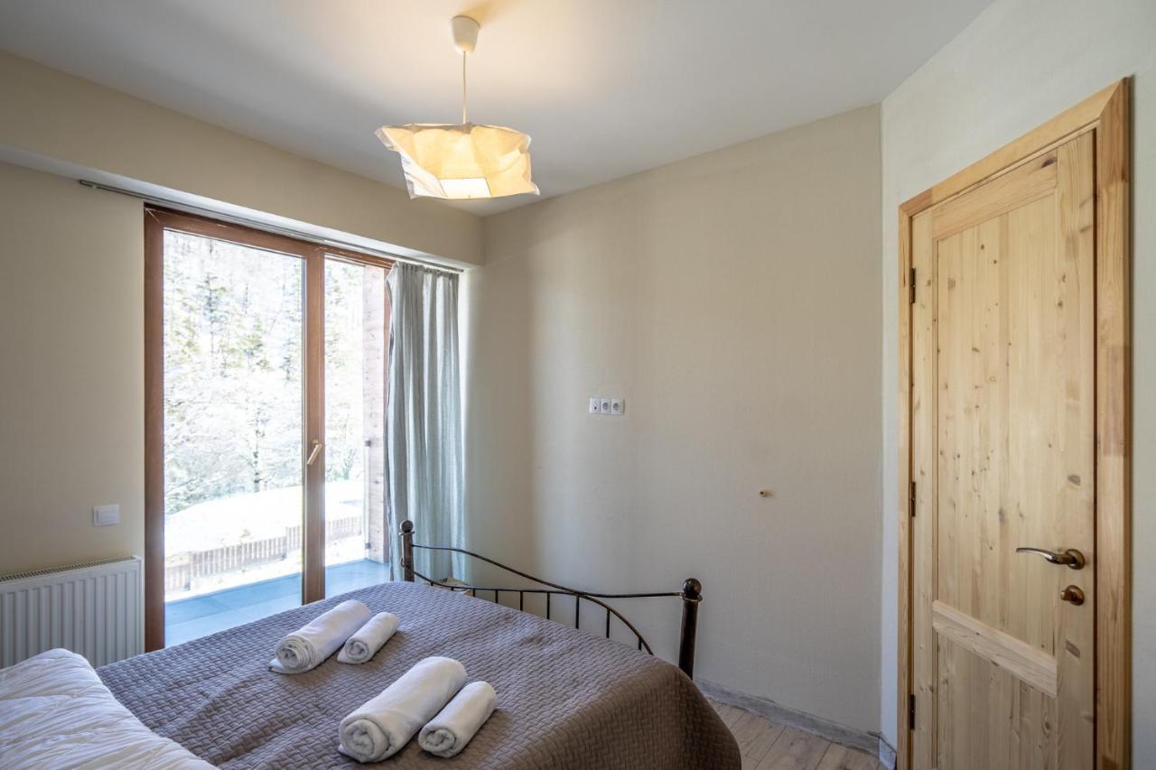 Didveli Valley Bakuriani Εξωτερικό φωτογραφία