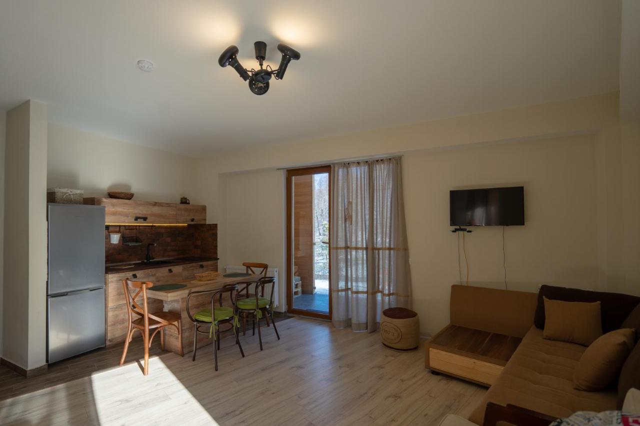 Didveli Valley Bakuriani Εξωτερικό φωτογραφία