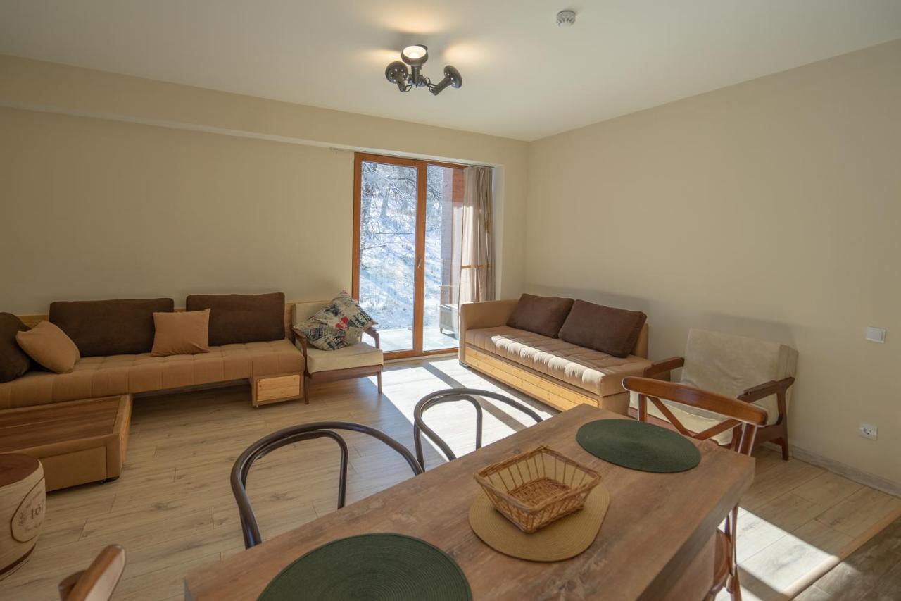 Didveli Valley Bakuriani Εξωτερικό φωτογραφία