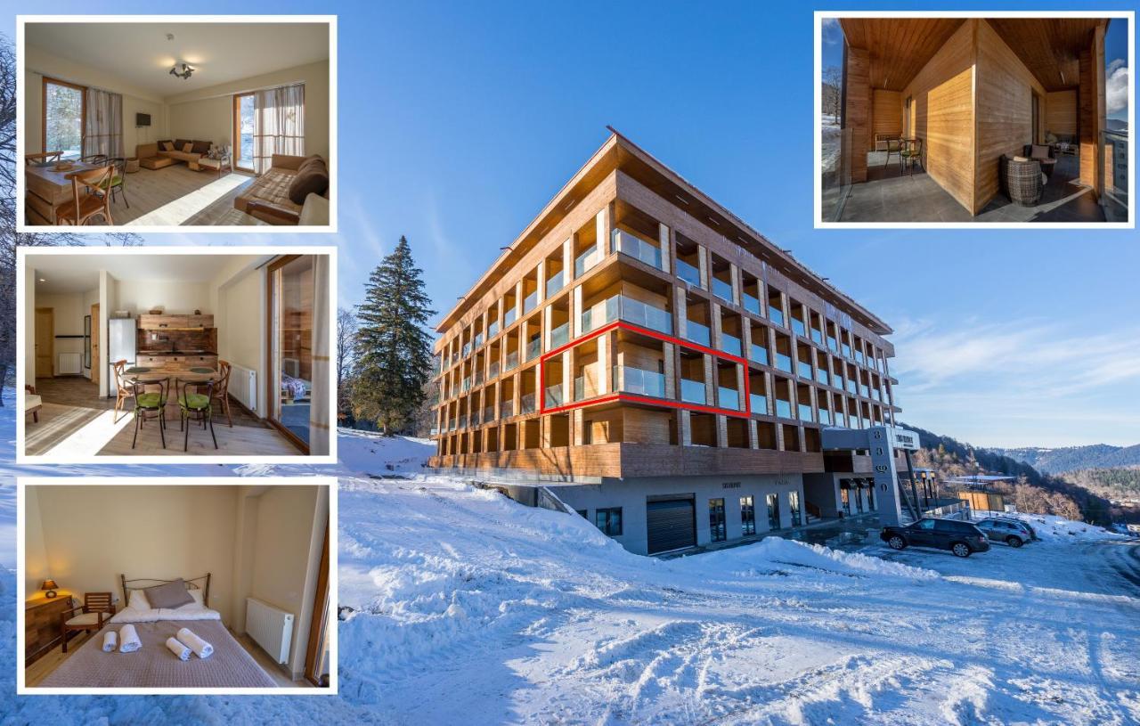 Didveli Valley Bakuriani Εξωτερικό φωτογραφία